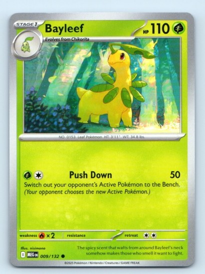 Bayleef 009/132 ~ Common English Near Mint