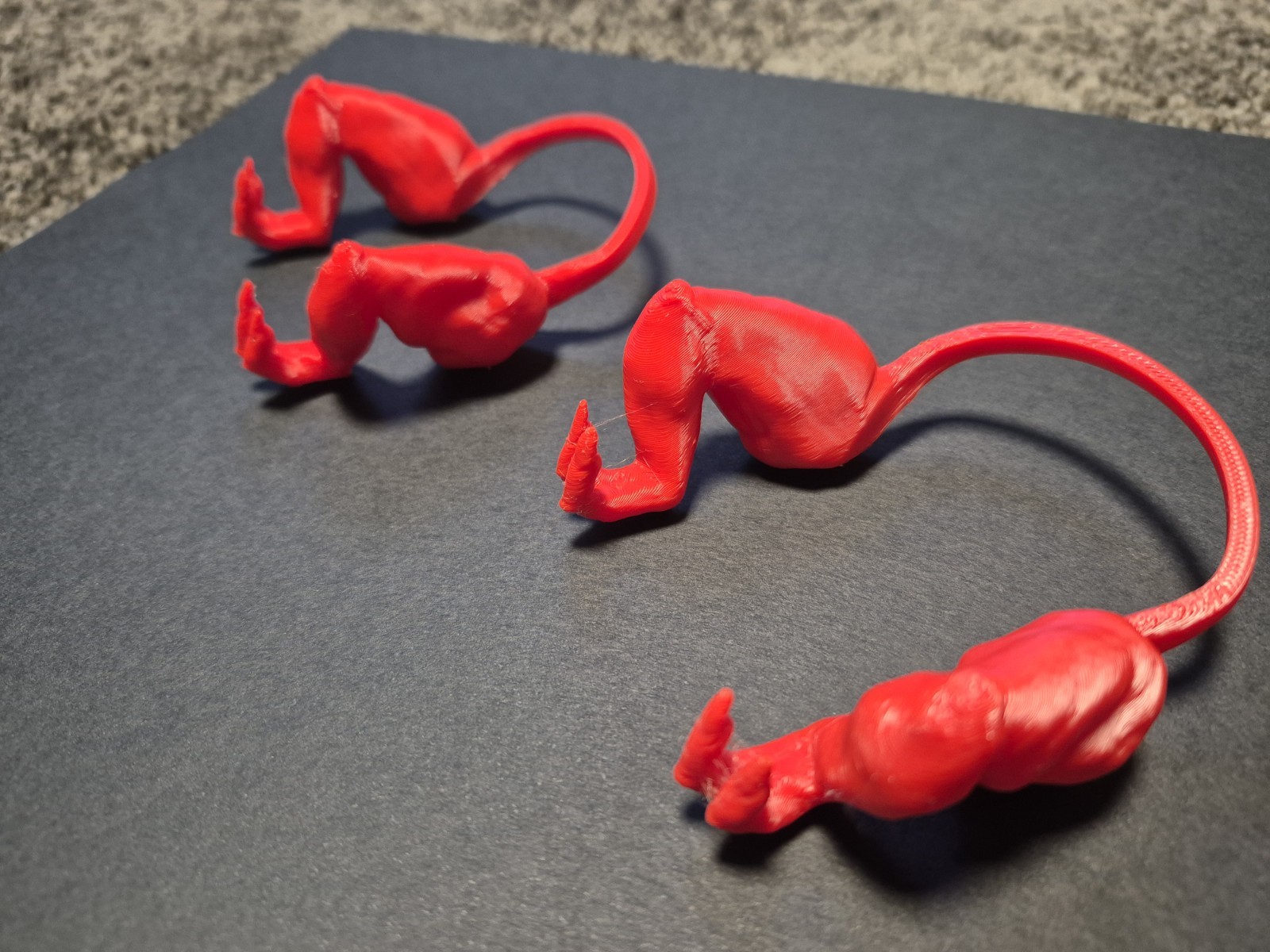 2 pair of 3d printed chicken arms