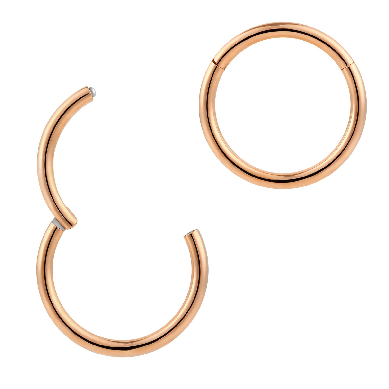 365 Sleepers 2Pcs G23 Titanium 16G (Classic Gauge) Hinged Segment Ring Hoop R