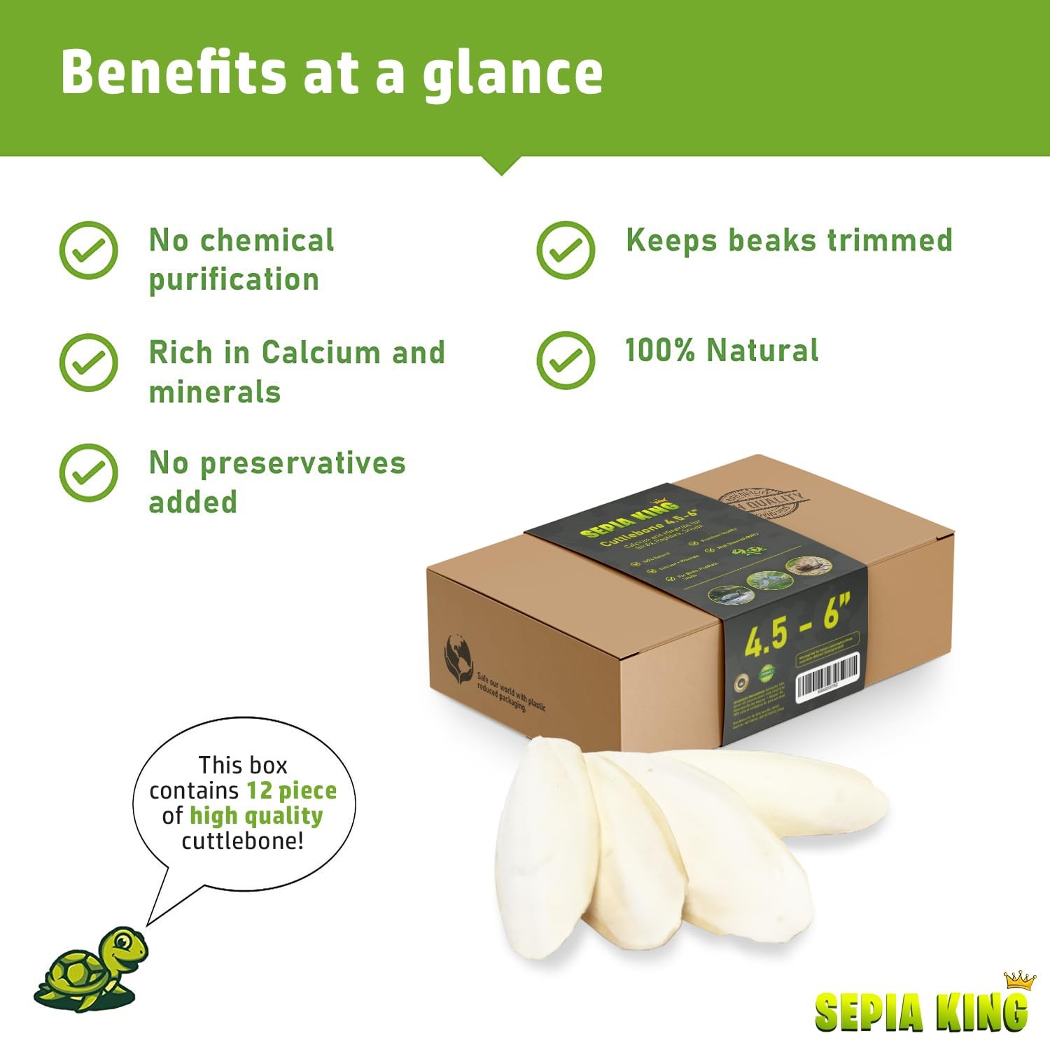 - Medium - 100% Natural Calcium Supplement - Premium Cuttlebone Perfect for B...