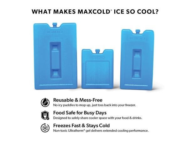 Igloo Medium Maxcold 2 Pack Ice Block, Reusable Ice Packs for Coolers, Freeze...