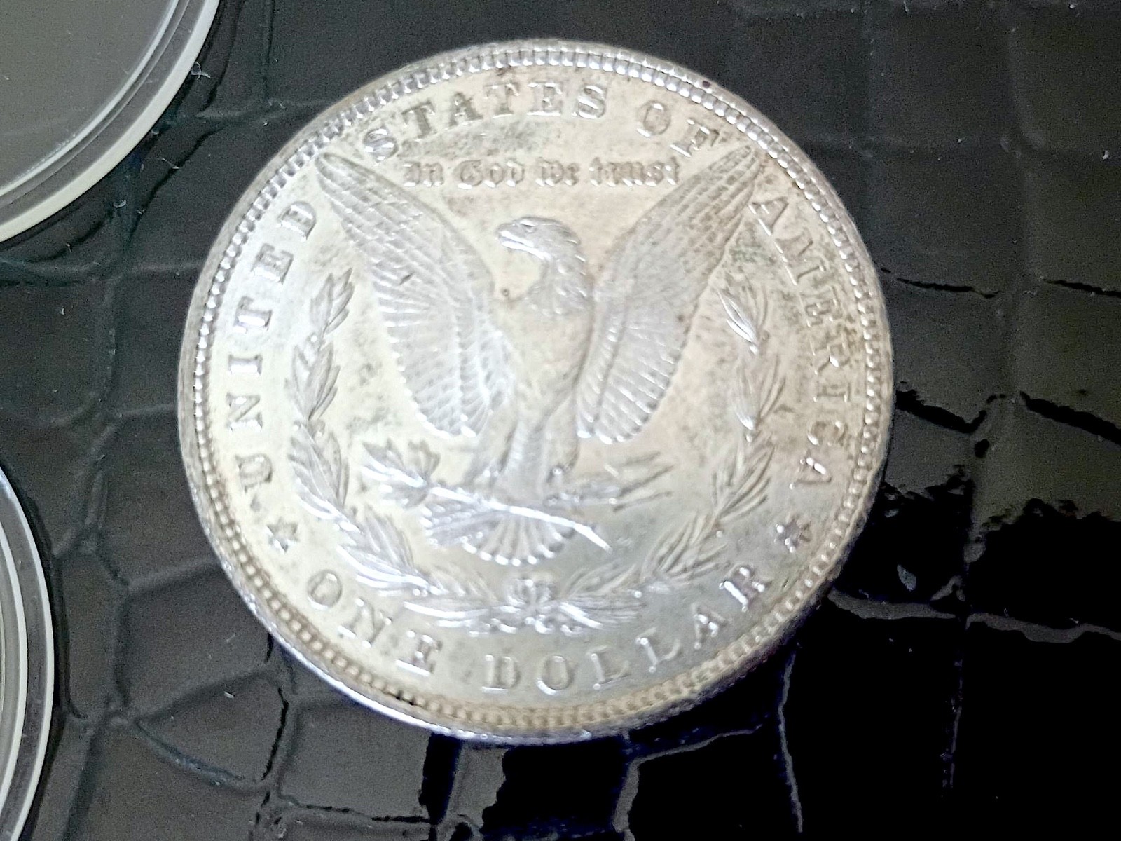 1881 $1 Morgan Silver Dollar in Uncirculated+ Condition