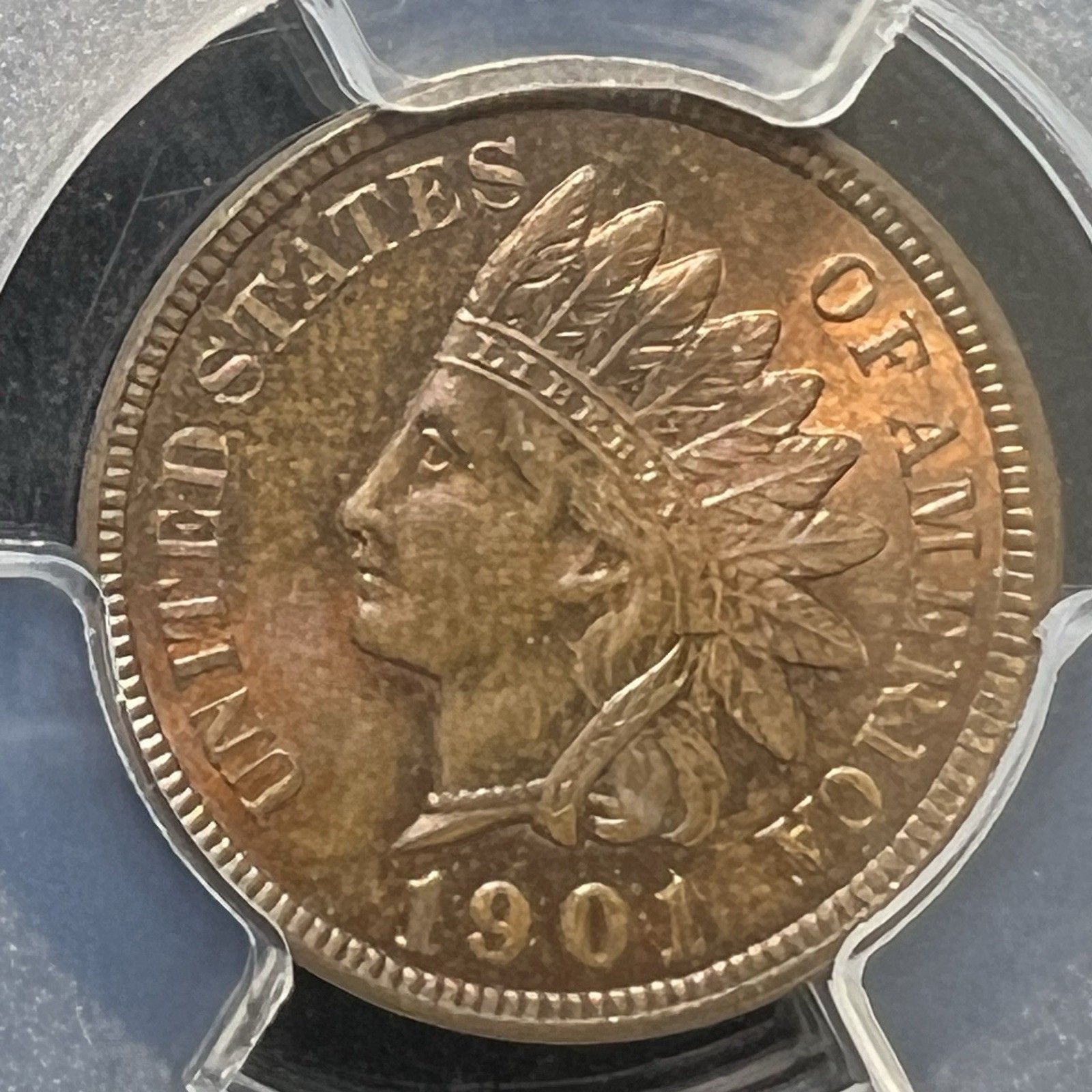 1901 Indian Head Cent Penny PCGS MS64RB receive coin pictured #2483