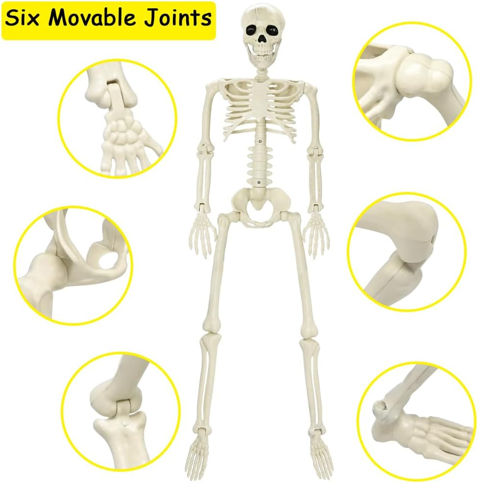 3FT Skeleton, 36" Full Body Skeleton with Movable Posable Joints, Realistic Plas
