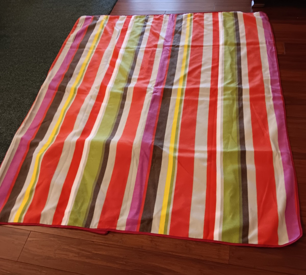 Striped Fleece Lined Water-resistant Stadium Blanket w/ Built-in Zip Case
