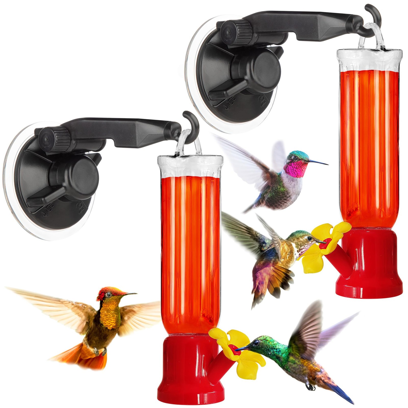 Gray Bunny Window Hummingbird Feeder with Strong Suction Cups 2 Pack, Cristal