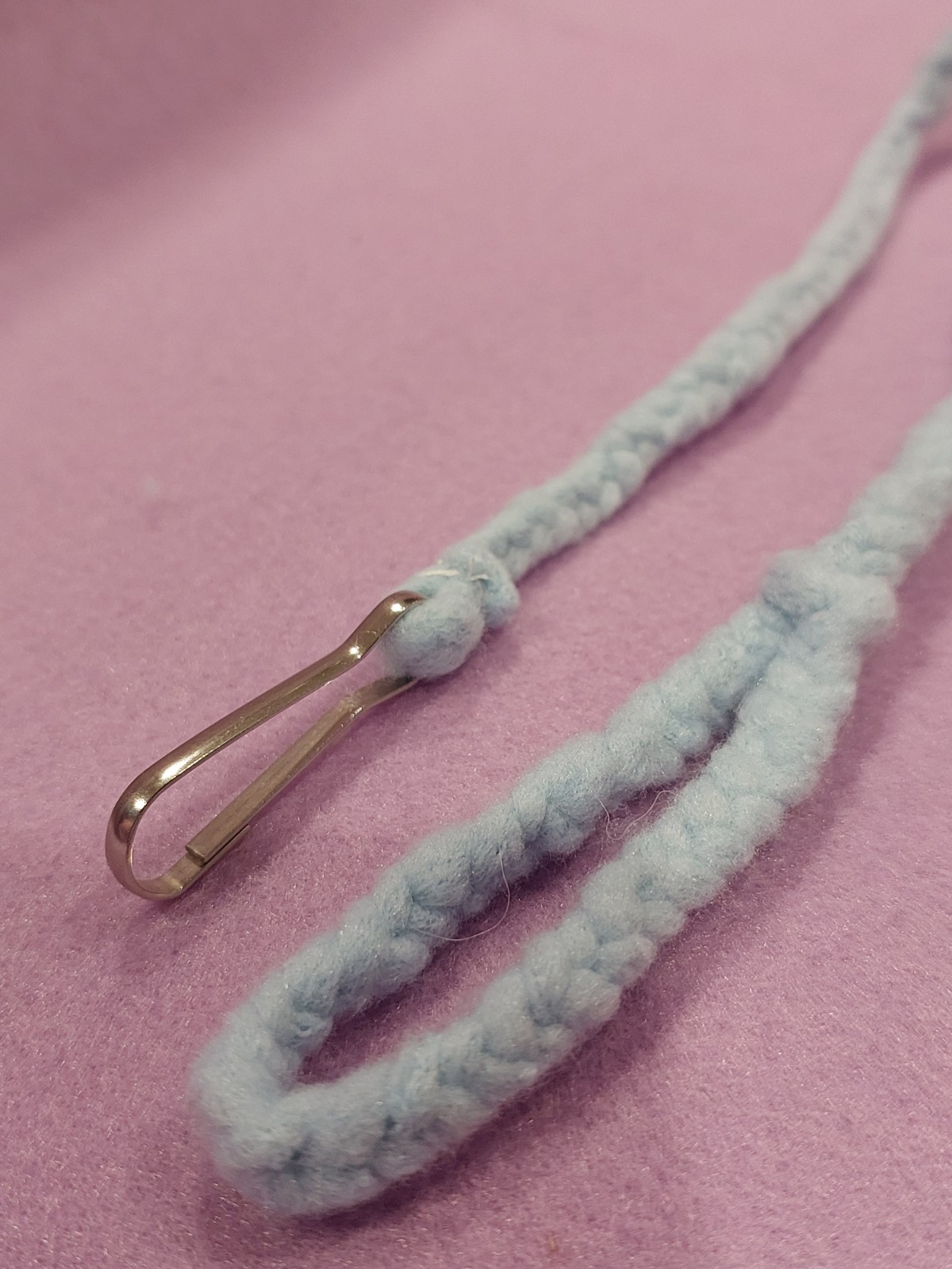 Blue Harness & Lead