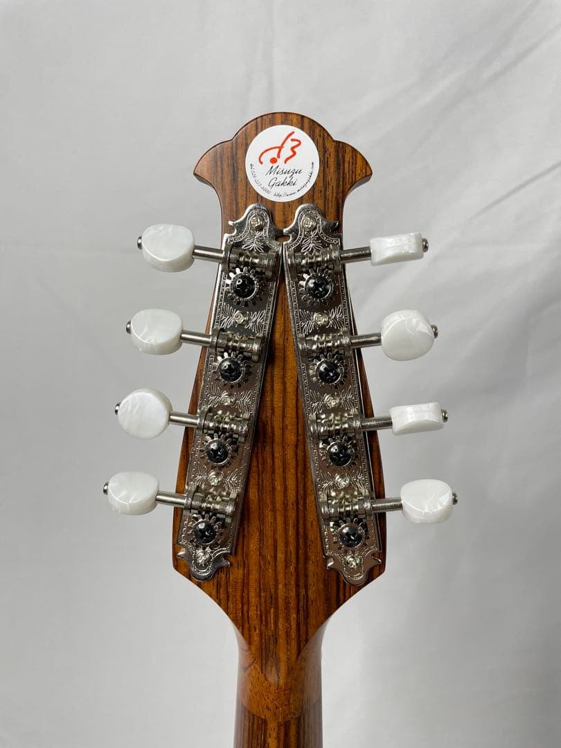 ASTURIAS MS-1bis mandolin with case