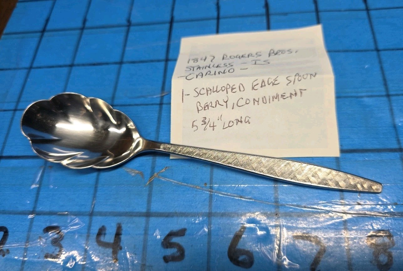 1847 Rogers Bros IS Stainless CARINO Textured Scalloped Berry Serving Spoon