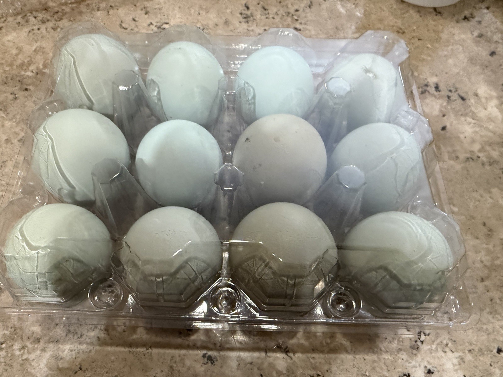 12 Ameraucana / Easter Egger Mixed Hatching Eggs- READ DESCRIPTION