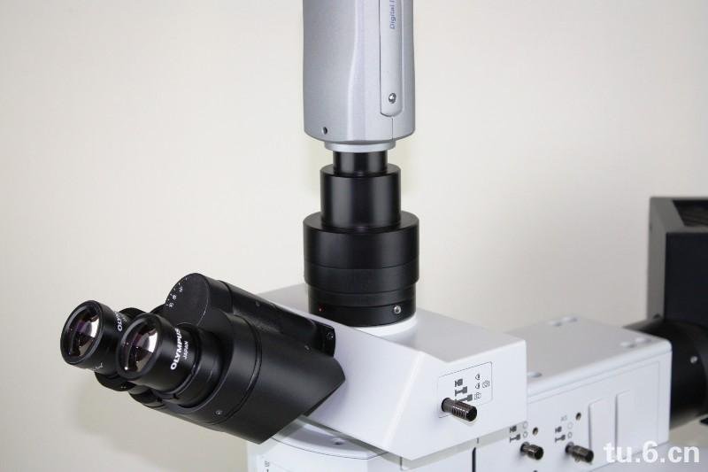Canon EOS Camera Adapter + Olympus Microscope Trinocular 4 U-CMAD3 AX BX41 MX51