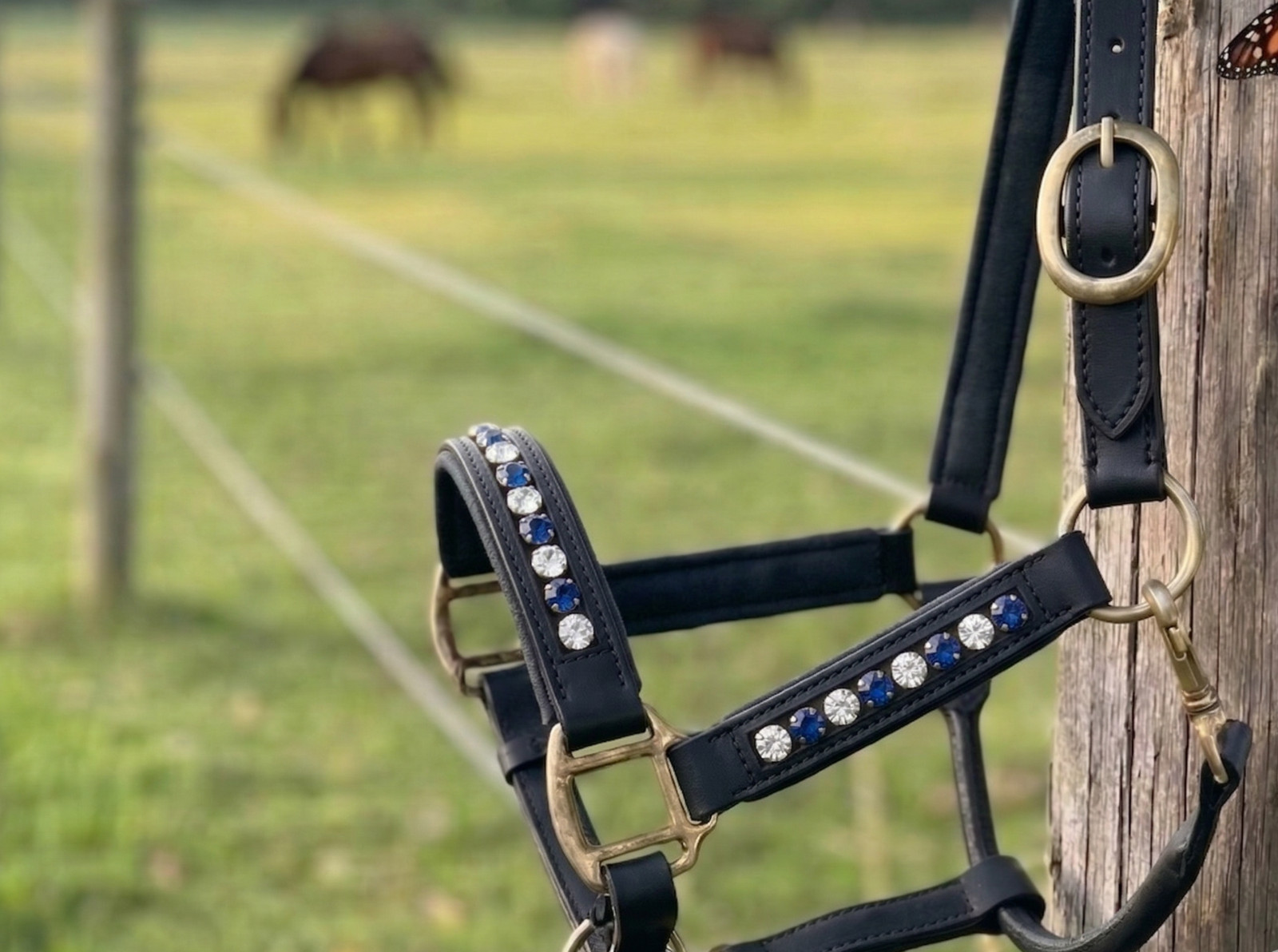 Leather Horse Halter with  Crystal Browband | Handmade Crystal Halter