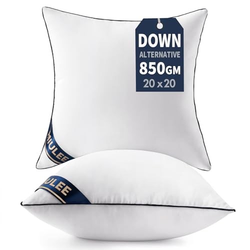 0x0 Pillow Inserts Set of Throw Pillows0 Inch Premium Down 20x20 Inch 2