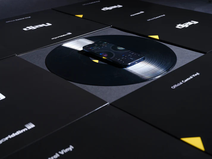 Algoriddim djay Pro 12" Control Vinyl (Black Single)