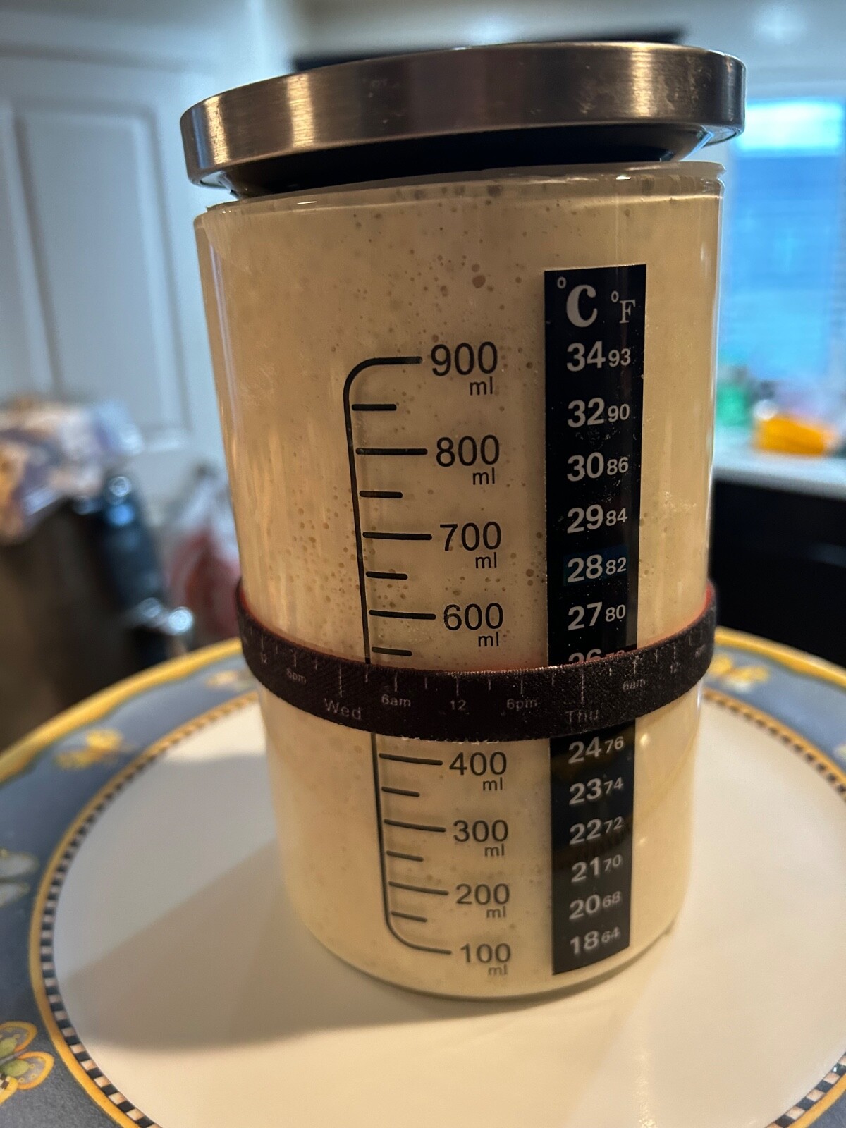 Dehydrated Sourdough Starter