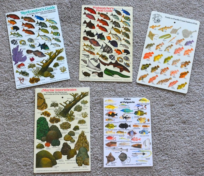 FISHWATCHER'S FIELD GUIDES, PLASTIC, CARIBBEAN, PACIFIC COAST, BAHAMAS, FLORIDA