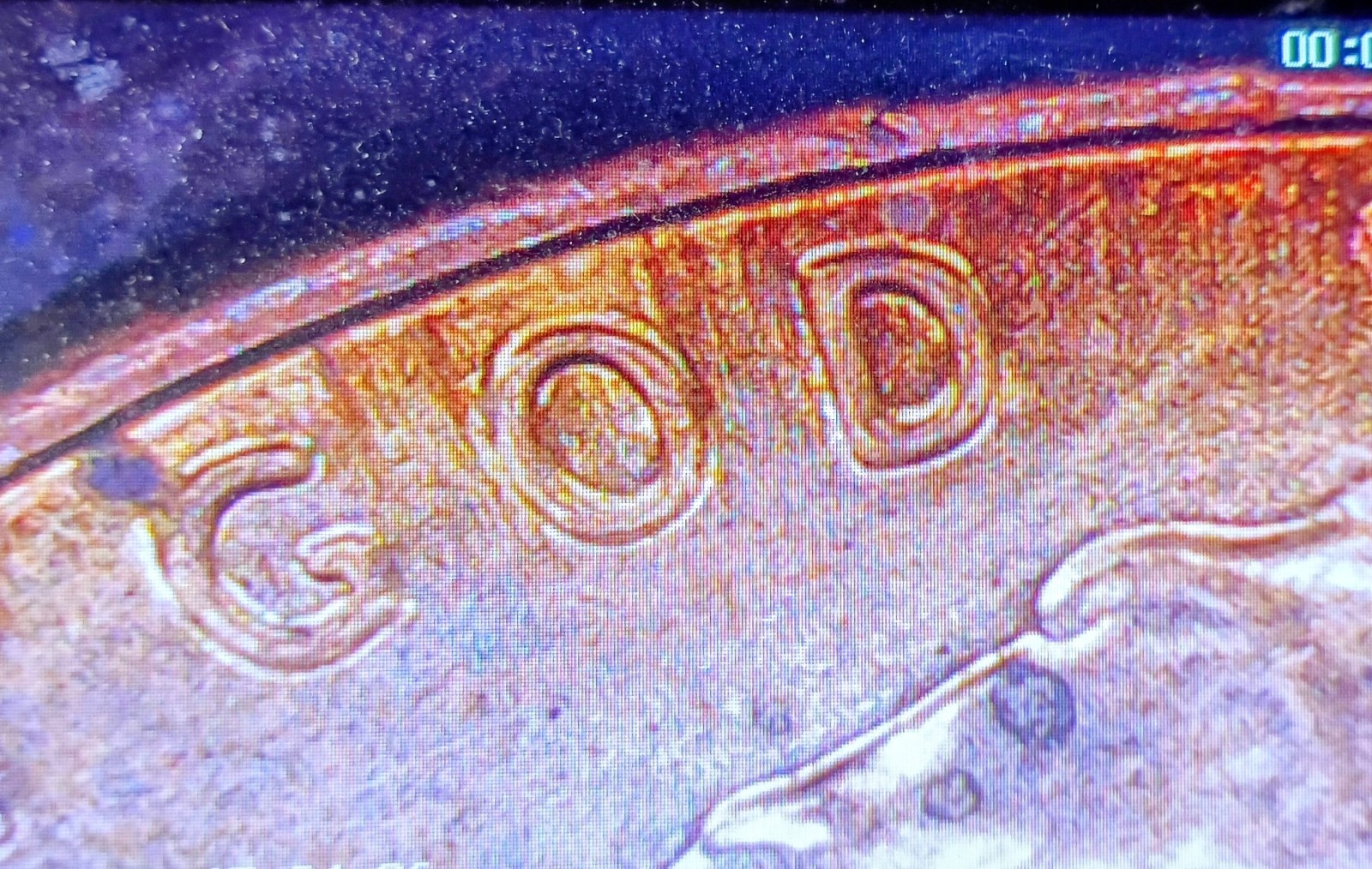 2015 D DDO Circulated RD