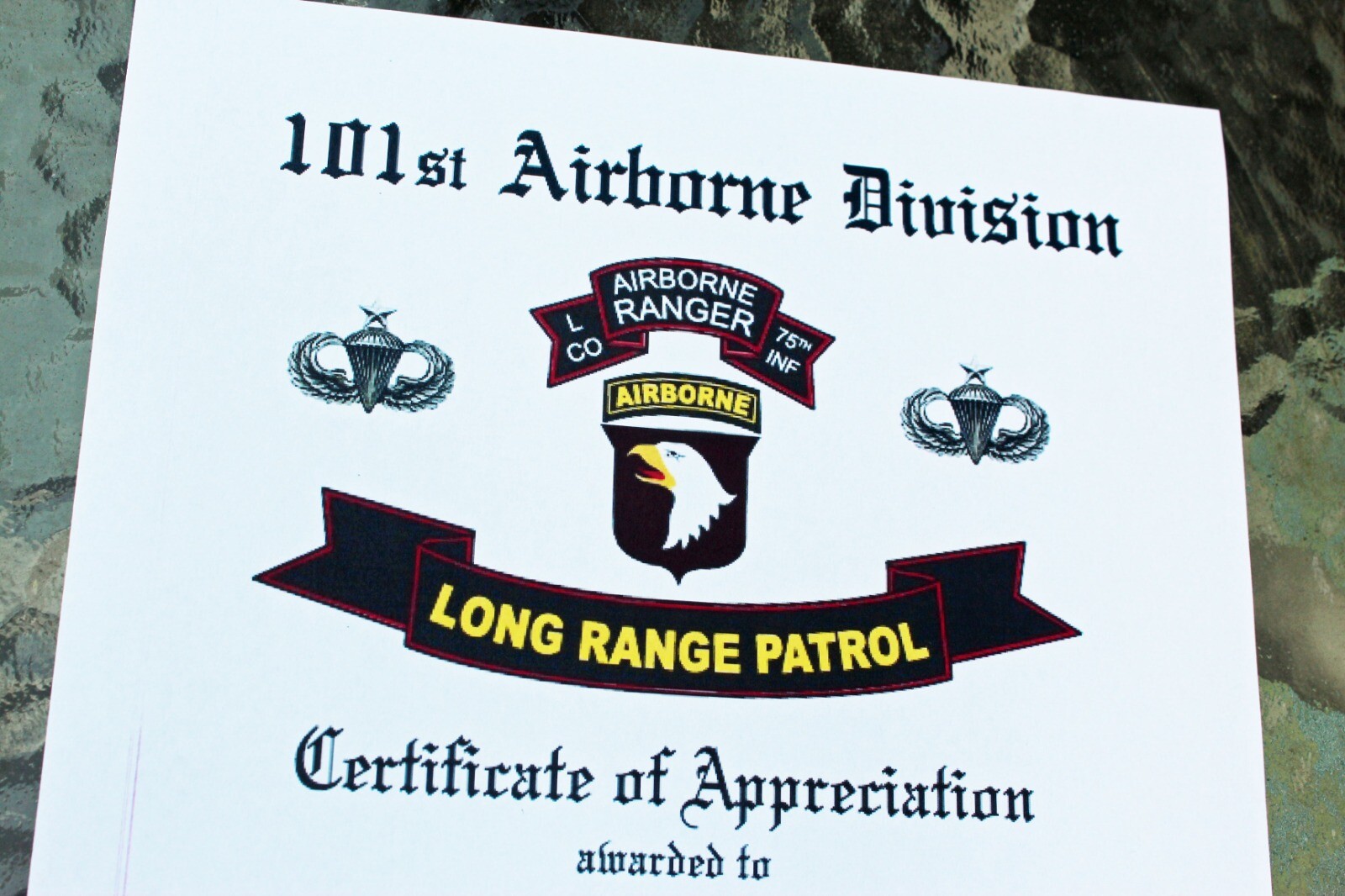 C4 101st Airborne Long Range Patrol L CO Ranger Airborne