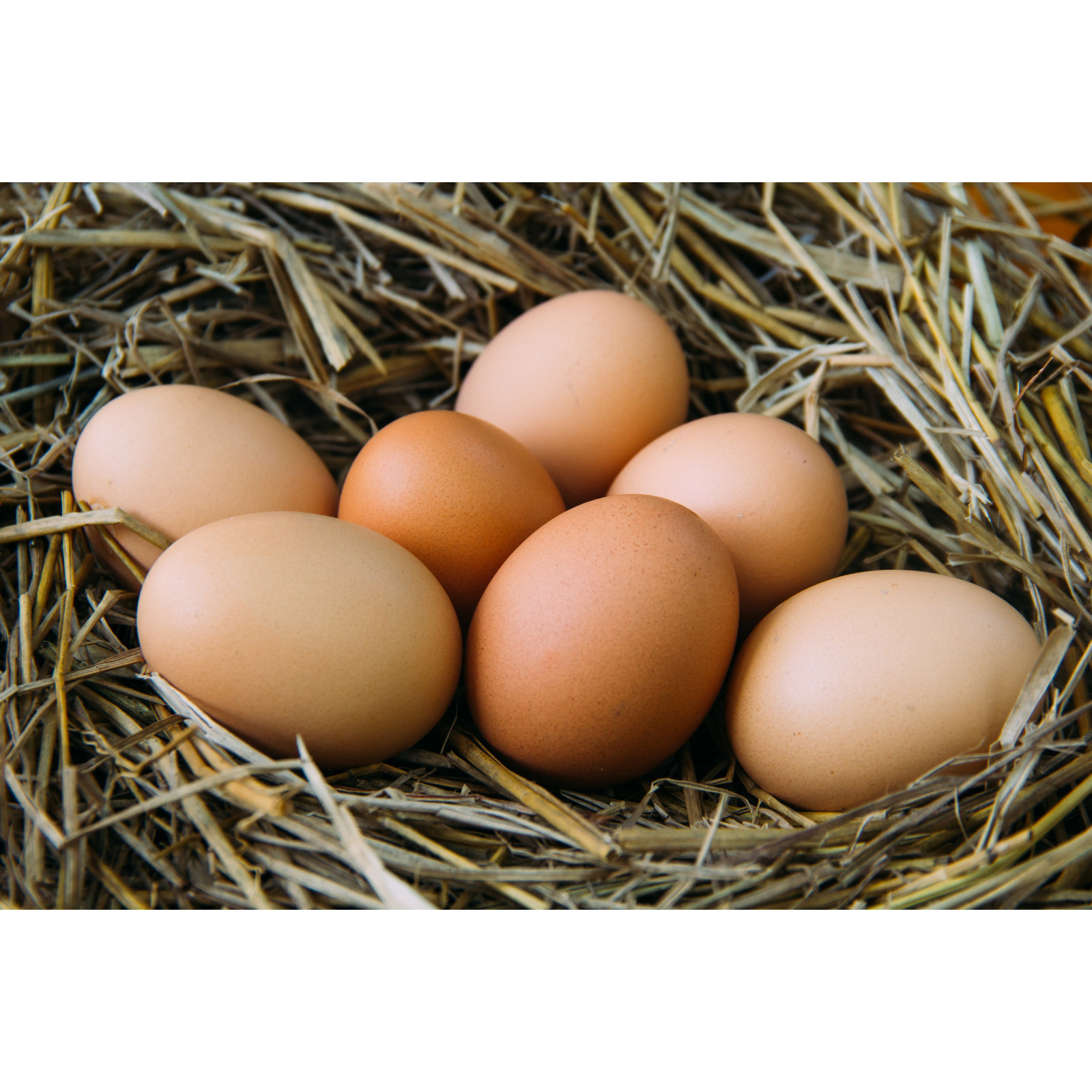 4 Ceramic Eggs