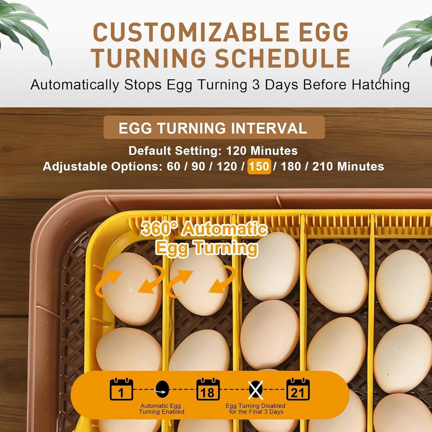 Gen IV Fully Automatic 56 Egg Incubator with Smart Temp & Humidity Control
