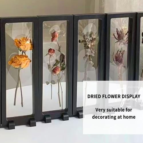 4 PCS 3D Floating Display Case, Seashell Holder Frame Coins Floating Display