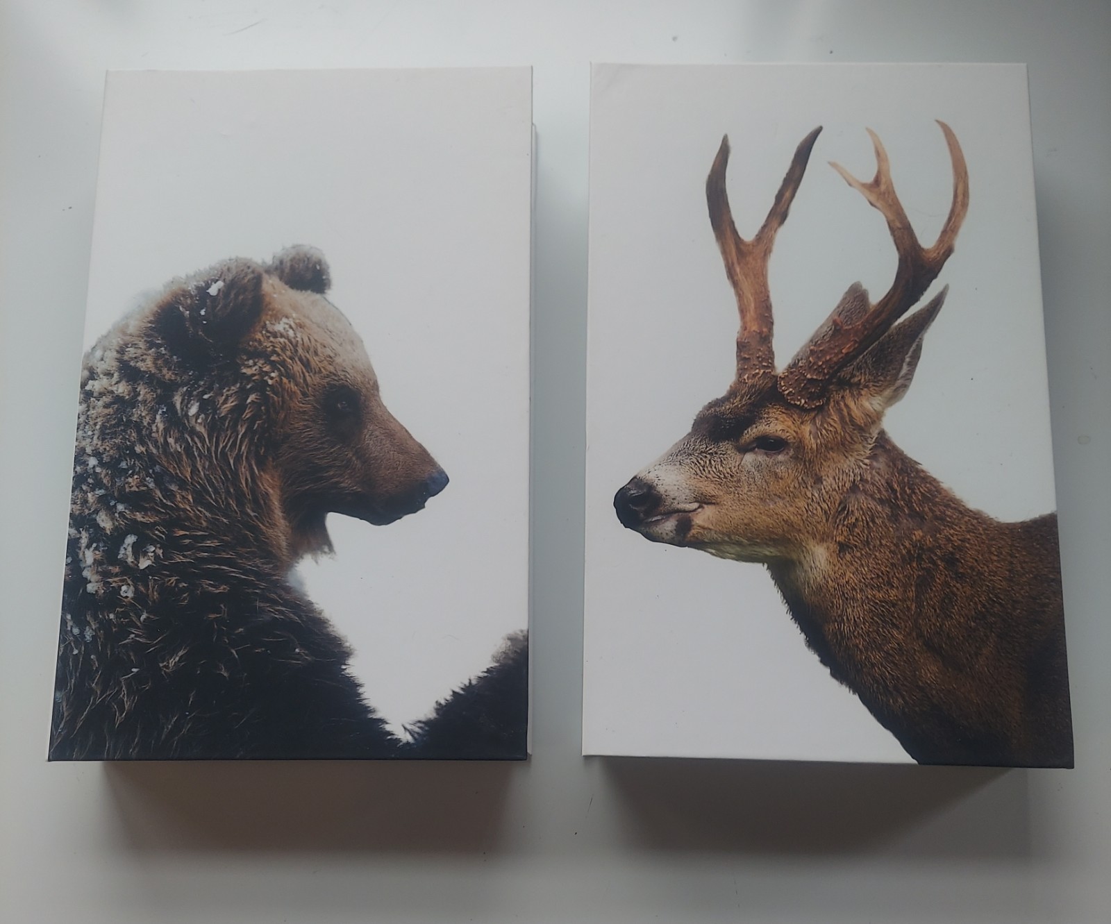 Hollow Book Diversion Safe 10 5/8"X6 3/4"X1 3/4" Bear Elk Set Of 2