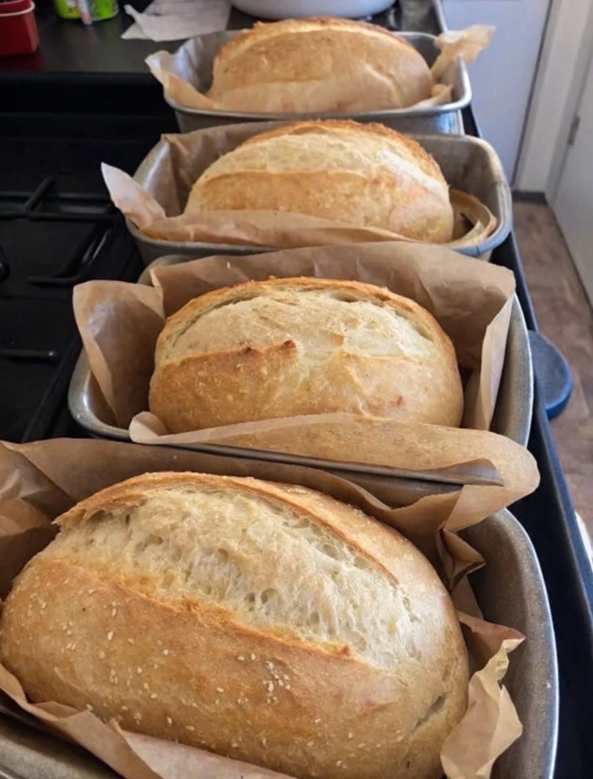 Infinity Dehydrated Sourdough
