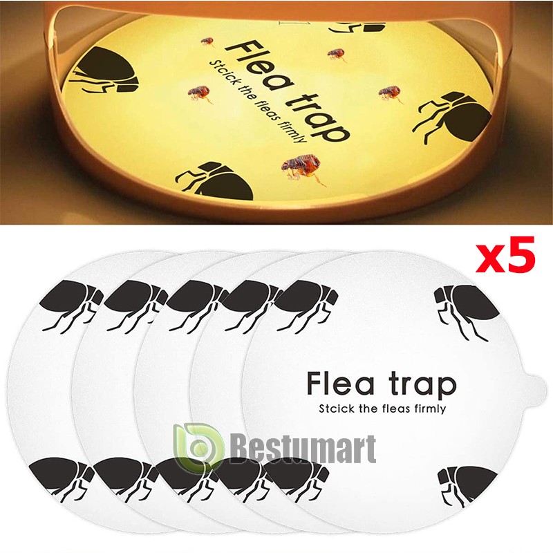 5x Flea Trap Sticker Bugs Sticky Dome Flea Trap Refill Flea Glue Discs Non Toxic