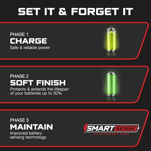 FORM 48 Volt Onboard Golf Cart Battery Charger Lithium