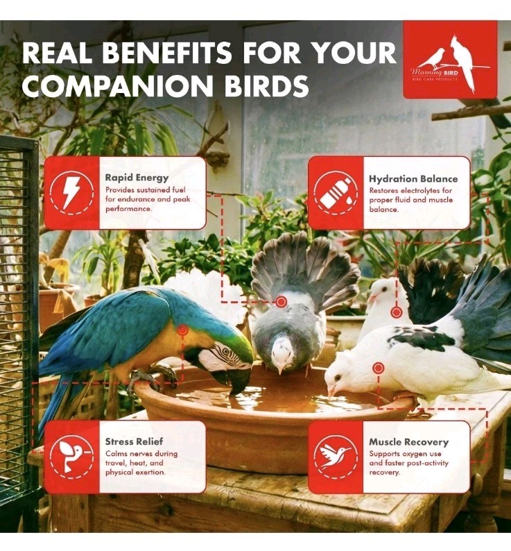 Vitalize for Birds 1 oz – & Dehydration Support – Promotes Hydration, Energ...