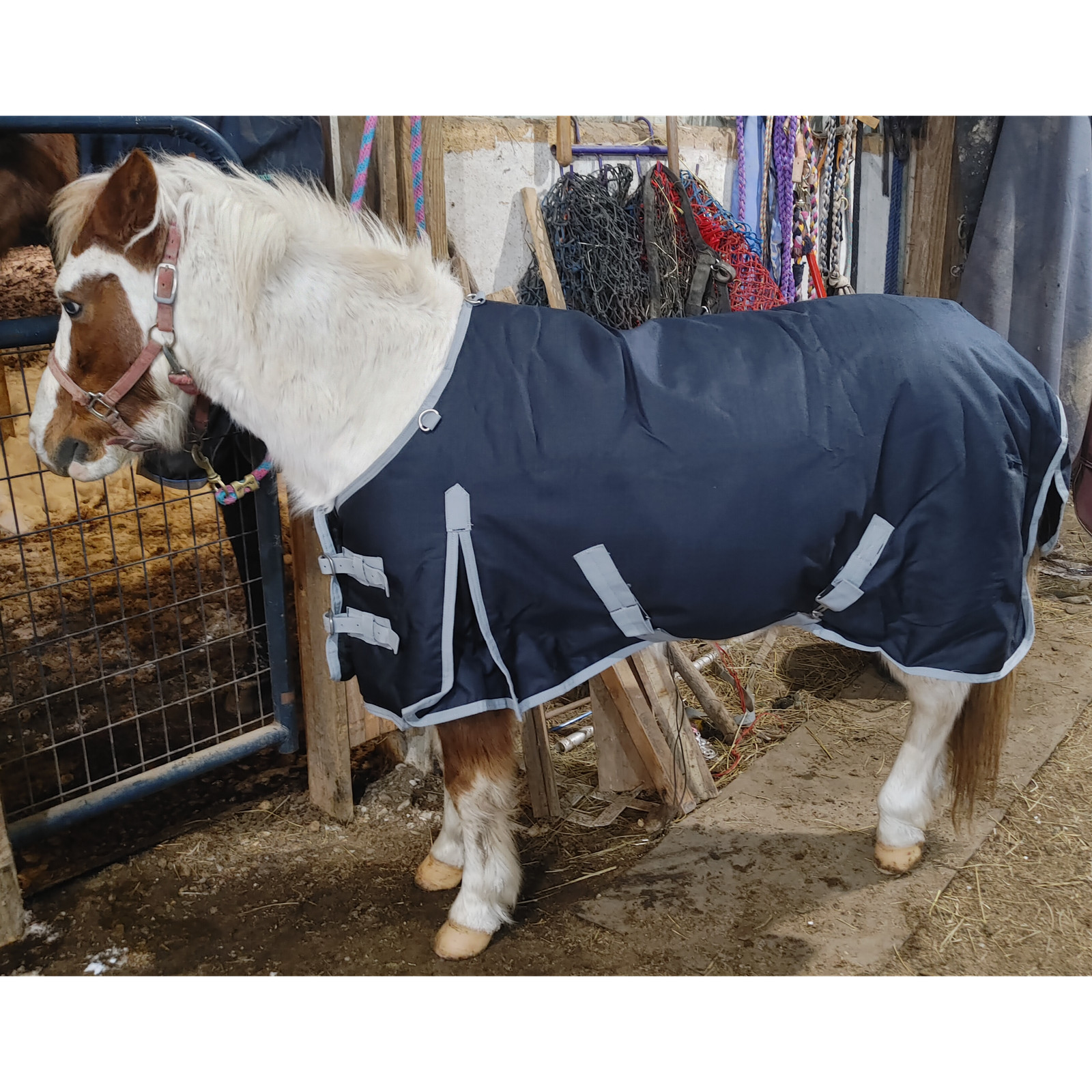 Ovation Pony Turn-Out Blanket 1200D 200G