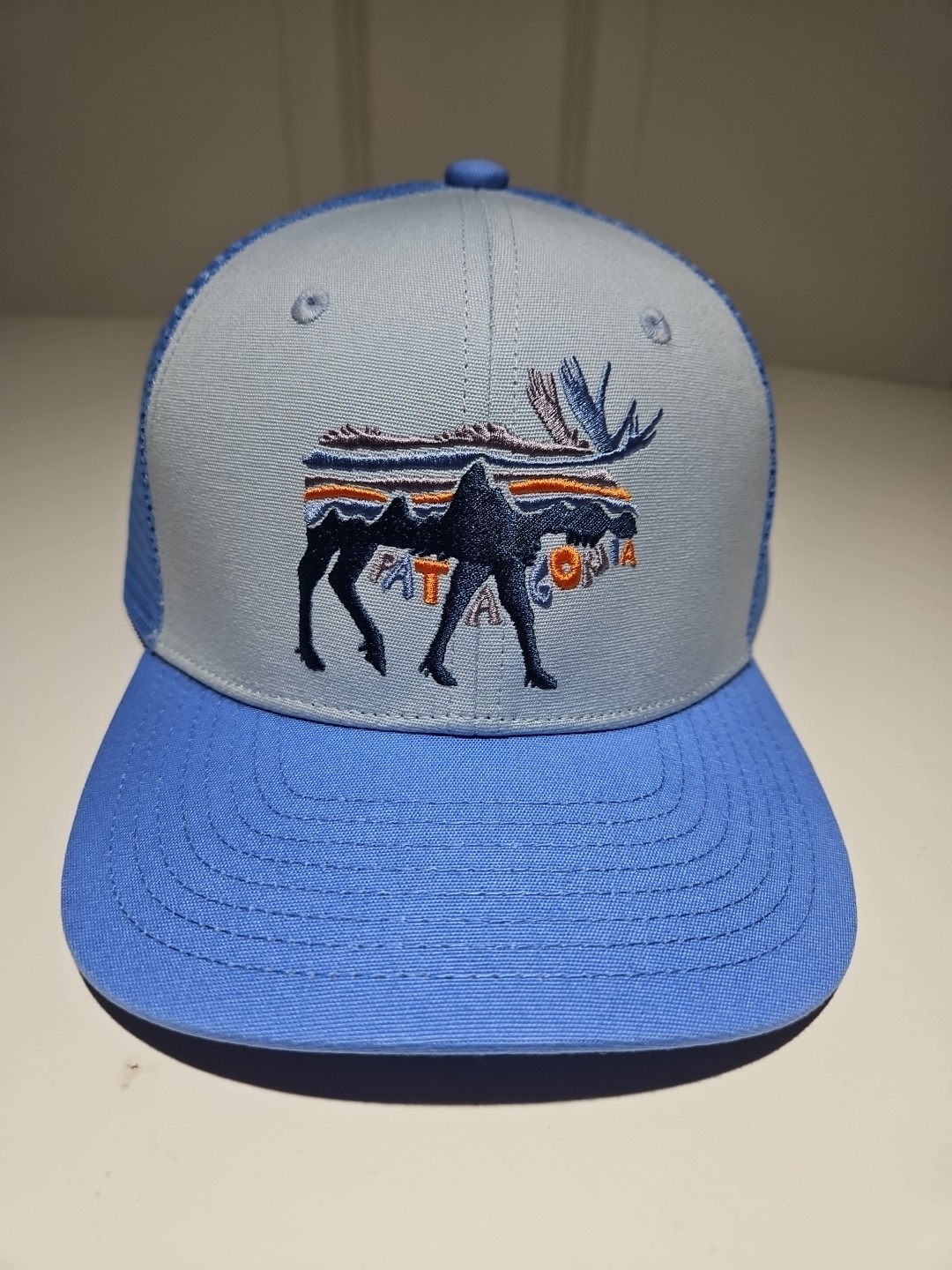 Patagonia Youth / Kids Trucker Hat. Fitz Roy Moose : Fleck Blue.