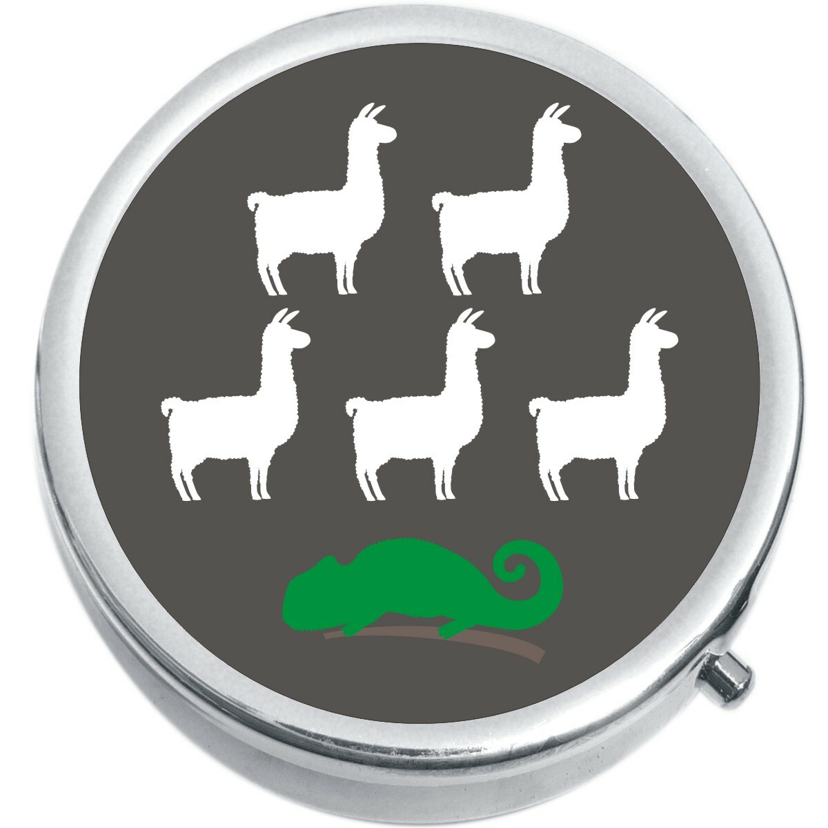 Llama Llama Chameleon  Medicine Vitamin Pill Box