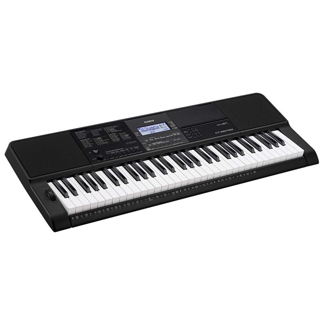 Casio CT-X870IN 61-Key Portable Keyboard, Black