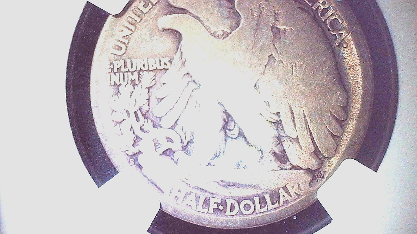 1921 S 50C ngc cleaned Walking half Dollar Fine Detail