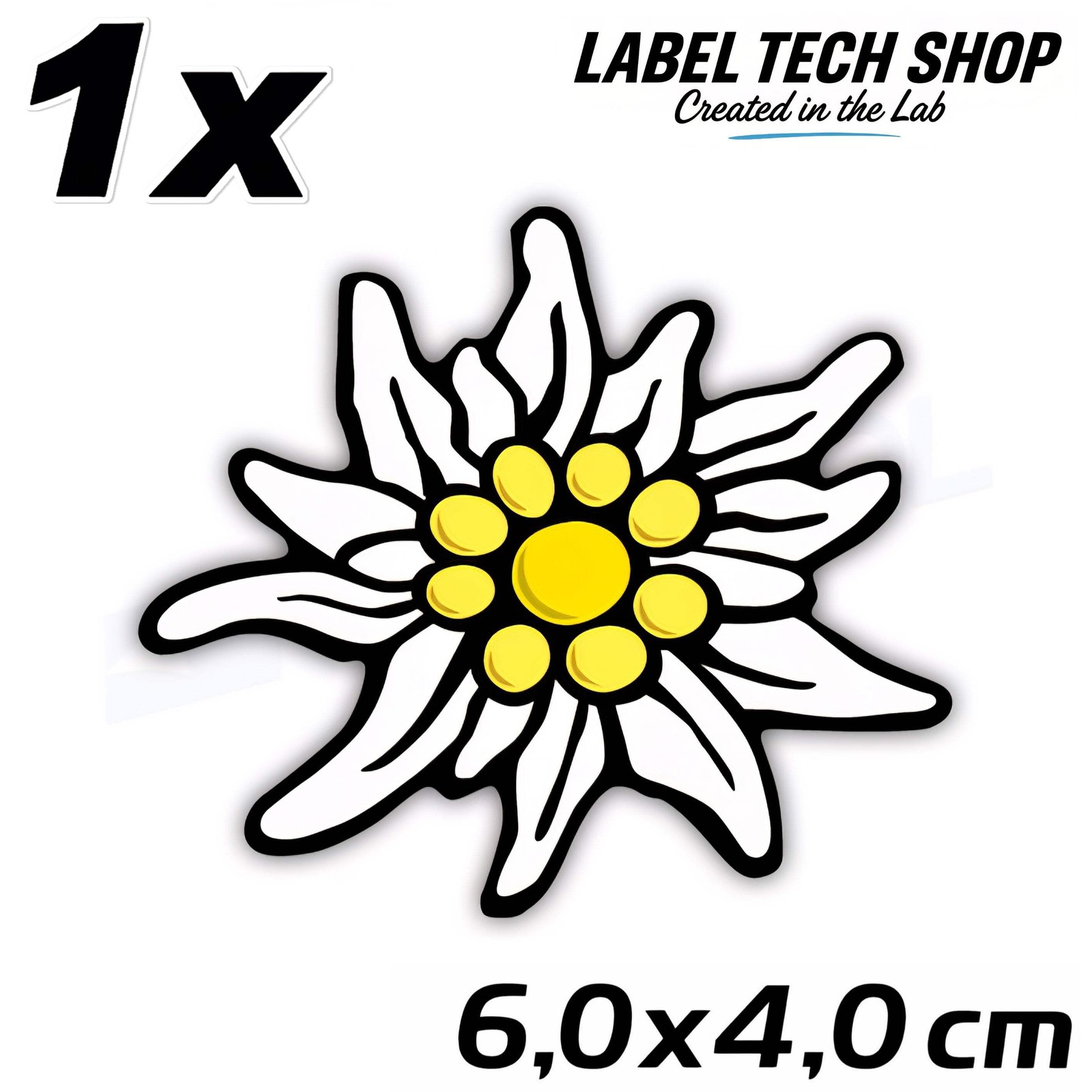 1x Edelweiss Sticker 🌼 Alpine Flower Sticker - Stella Alpina 6.0x4.0cm