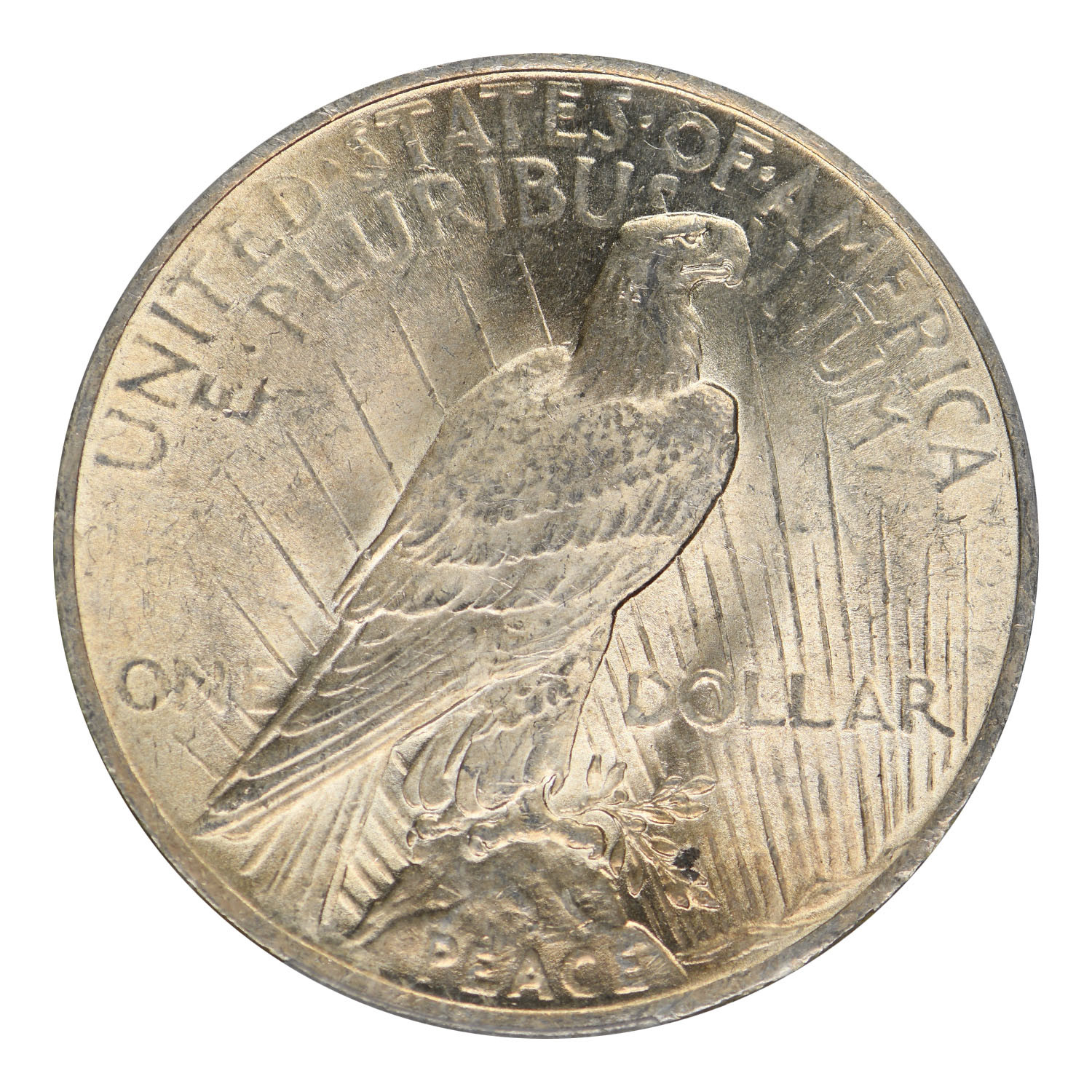 1923 Peace Dollar PCGS MS-63