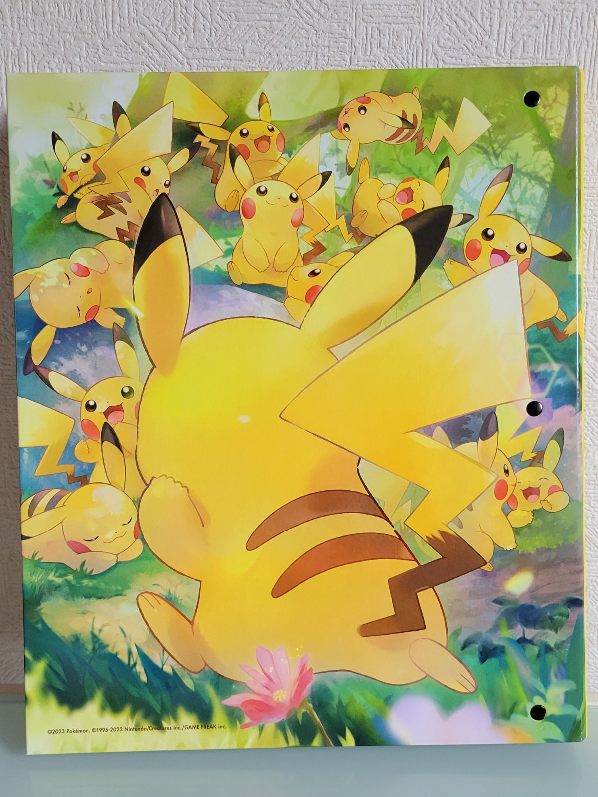 Pokemon Card Game Collection File Pikachu 10 Pocket Binder Japan New