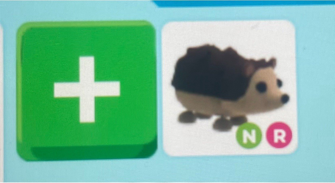 Adopt Neon Hedgehog! - Rideable (Twinkle) Adopt Me