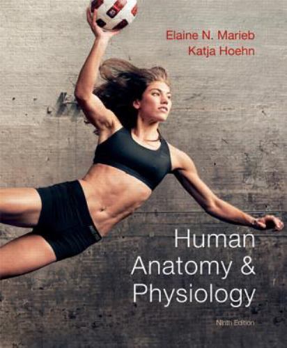 Human Anatomy & Physiology (9th Edition) by Elaine N. Marieb;  Katja N. Hoehn