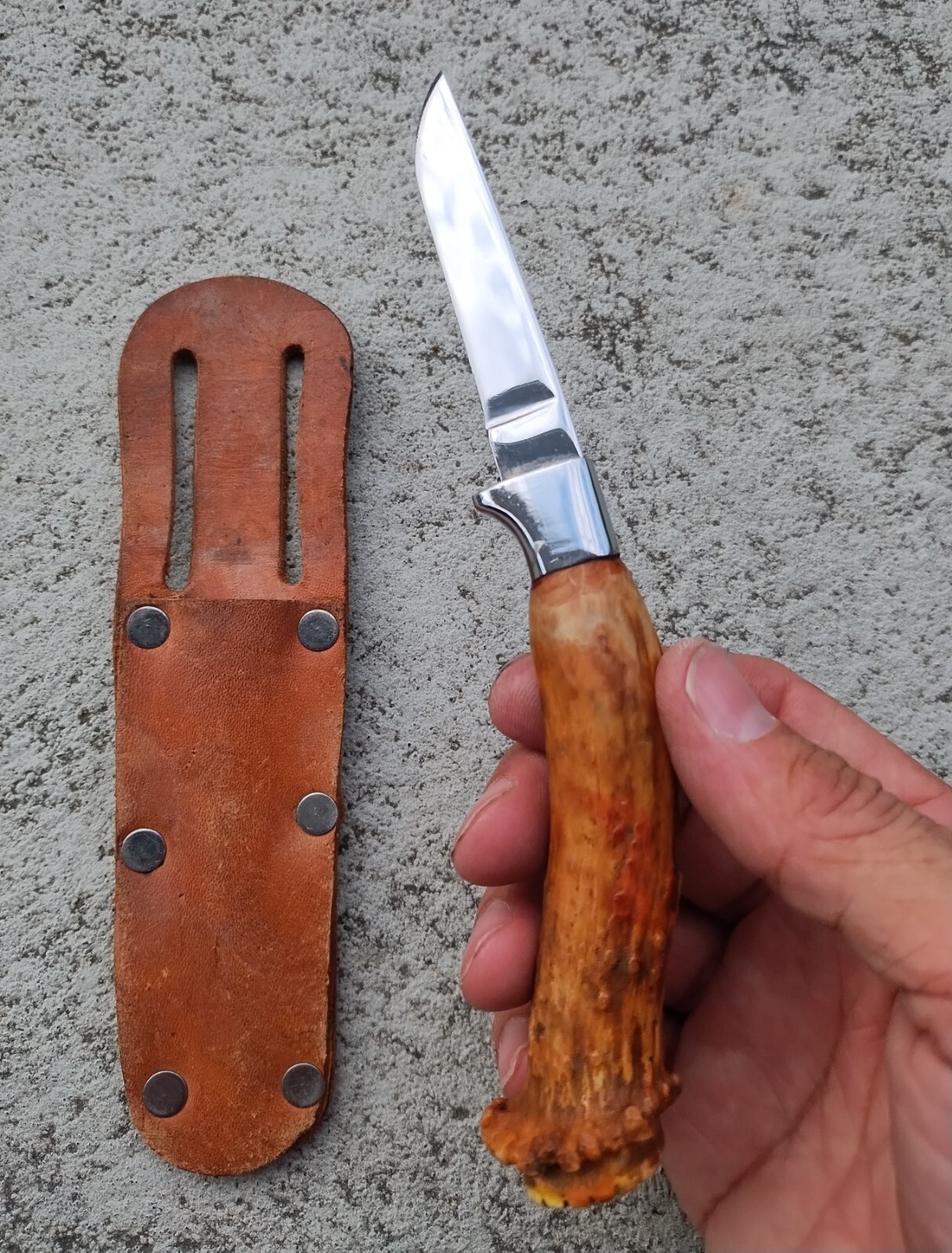 CARVEL HALL USA 7" SKINNING HUNTING KNIFE STAG ANTLER & LEATHER SHEATH EXCELLENT