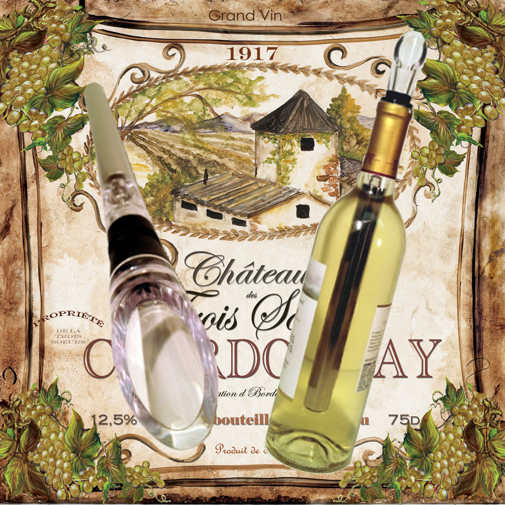 Wine Chiller Stick~ Stainless Steel~Chill, Seal and Pour Your Wine~ Free Ship