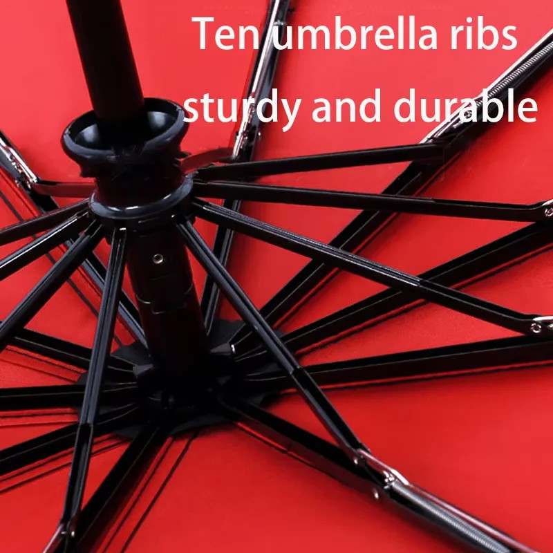 Windproof Double Layer Resistant Umbrella Fully Automatic Rain Men Women 10K Str