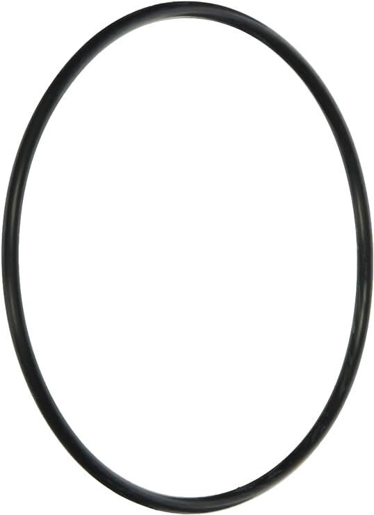 Zodiac R0374500 Energy Filter "O" Ring Replacement Kit for Zodiac Jandy