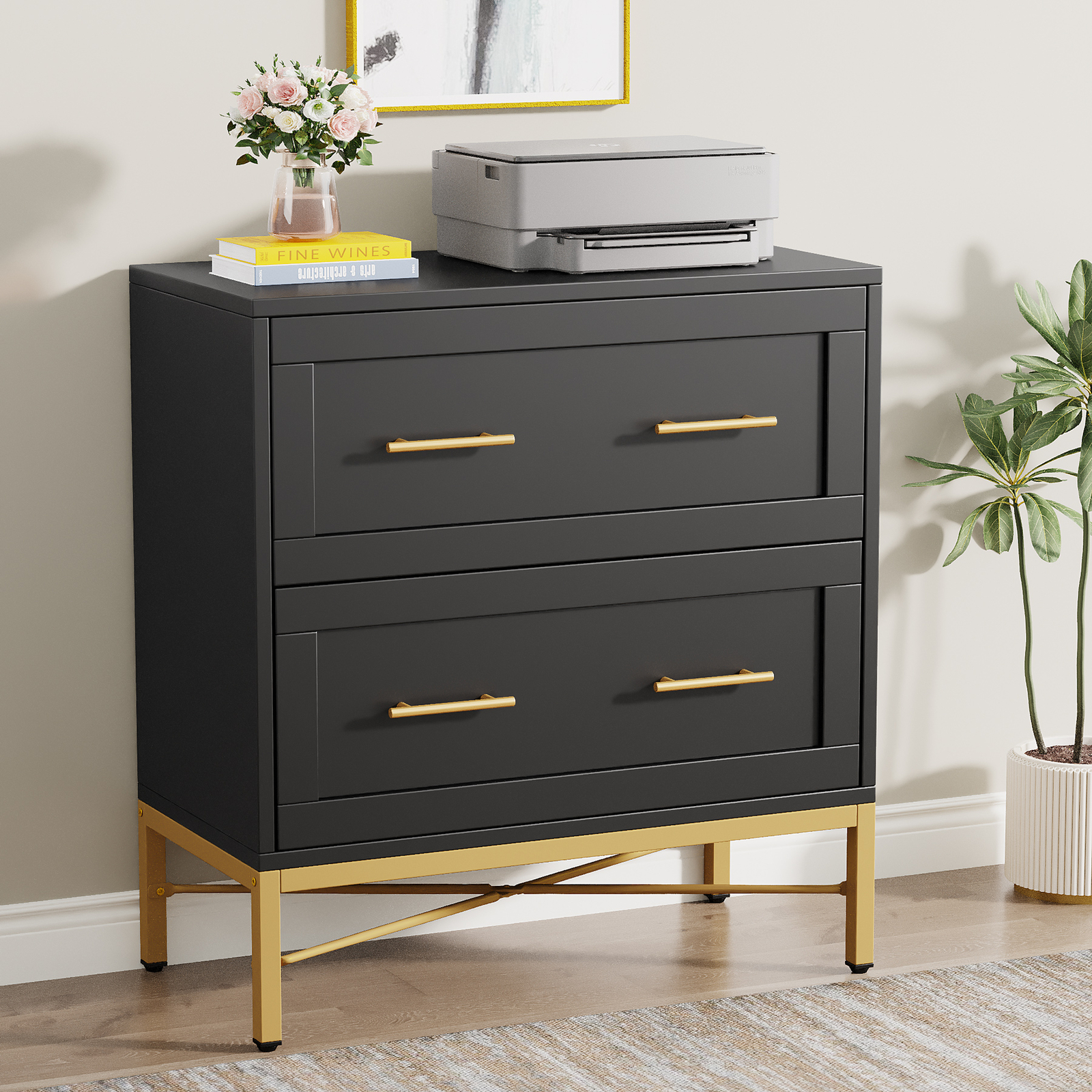 Lateral File Cabinet with 2 Drawes, Wood Filing Cabinet for Legal Letter Size