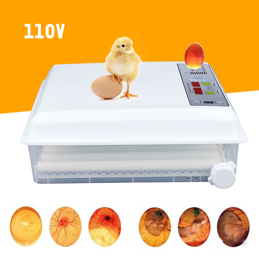 Egg Incubator 64 Eggs Fully Digital Automatic Hatcher Fit Hatching Chicken Farm