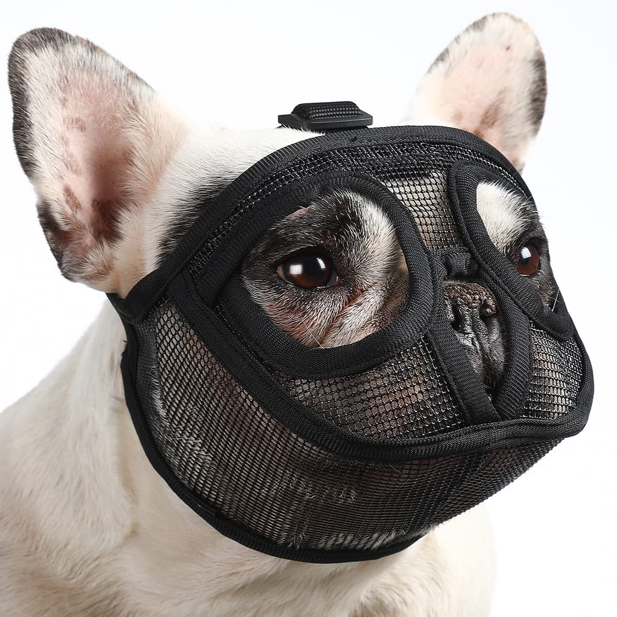 BARKLESS Short Snout Dog Muzzle, Breathable Mesh XXS (Head 8.5-12.5''), Black