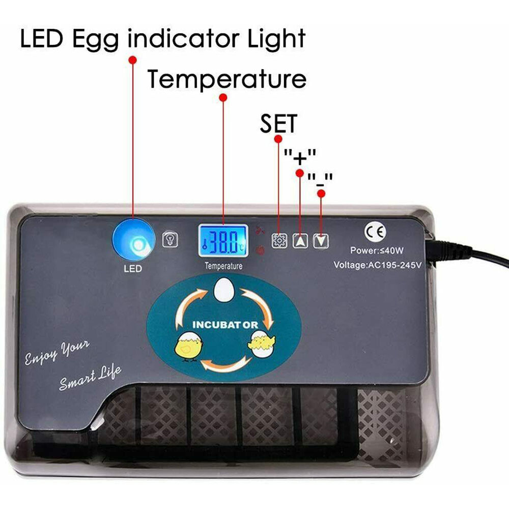 12 Eggs Incubator Automatic Eggs Hatcher For Chicken Quail Poultry Hatching US