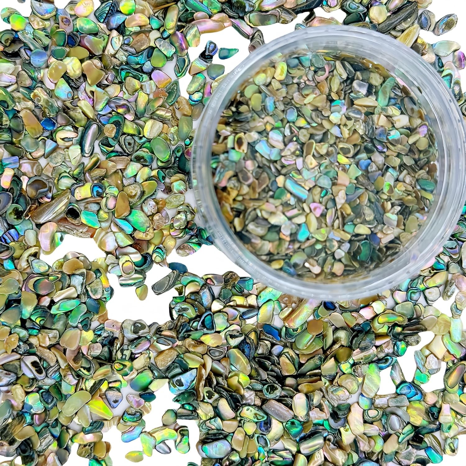 Paua Abalone Shell 2 oz, Inlay Pieces for Woodworking & Jewelry