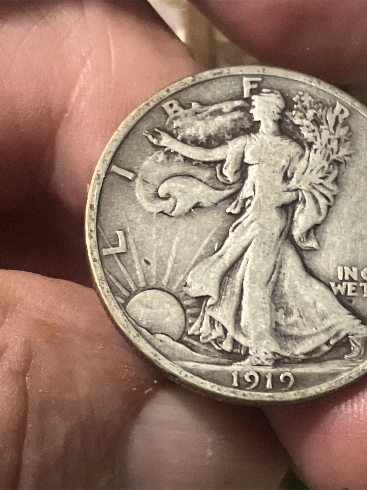 1919 walking liberty half dollar